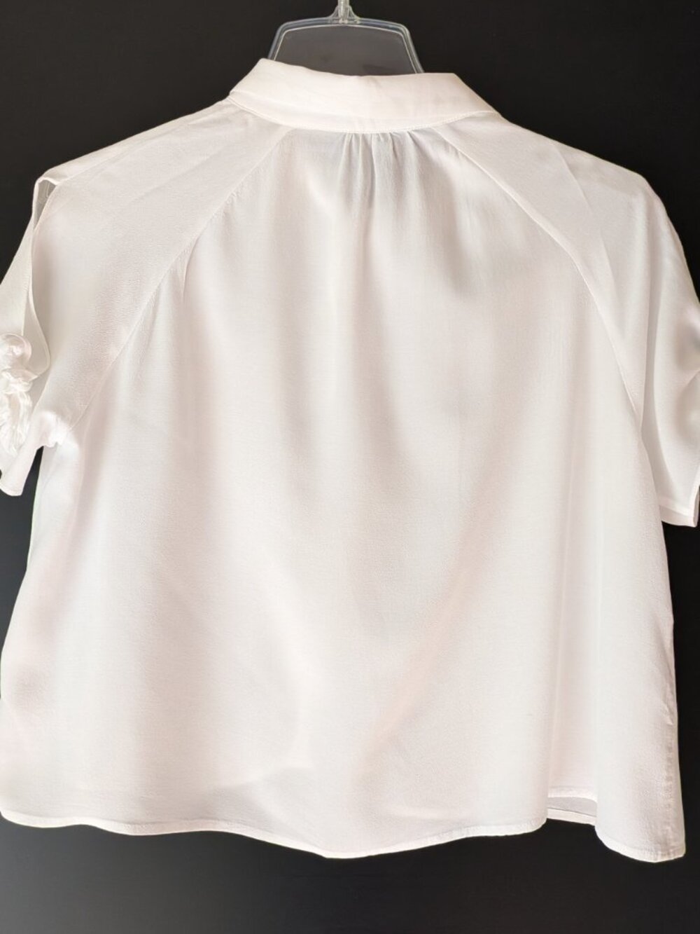 Simple White Translucent Shirt - Picture 2 of 9